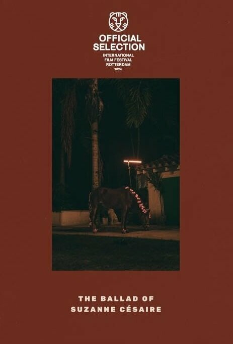 Постер The Ballad of Suzanne Césaire