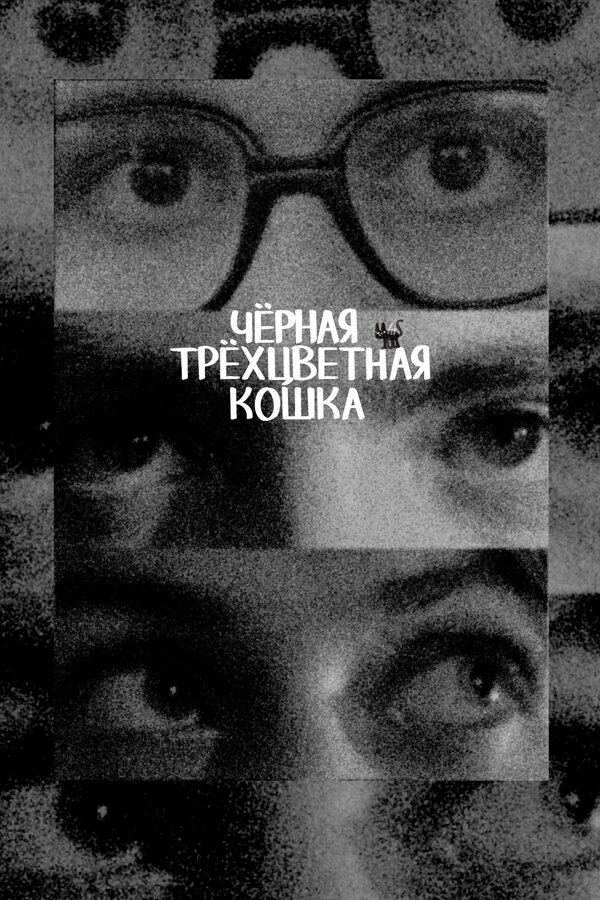 Постер Чёрная трёхцветная кошка