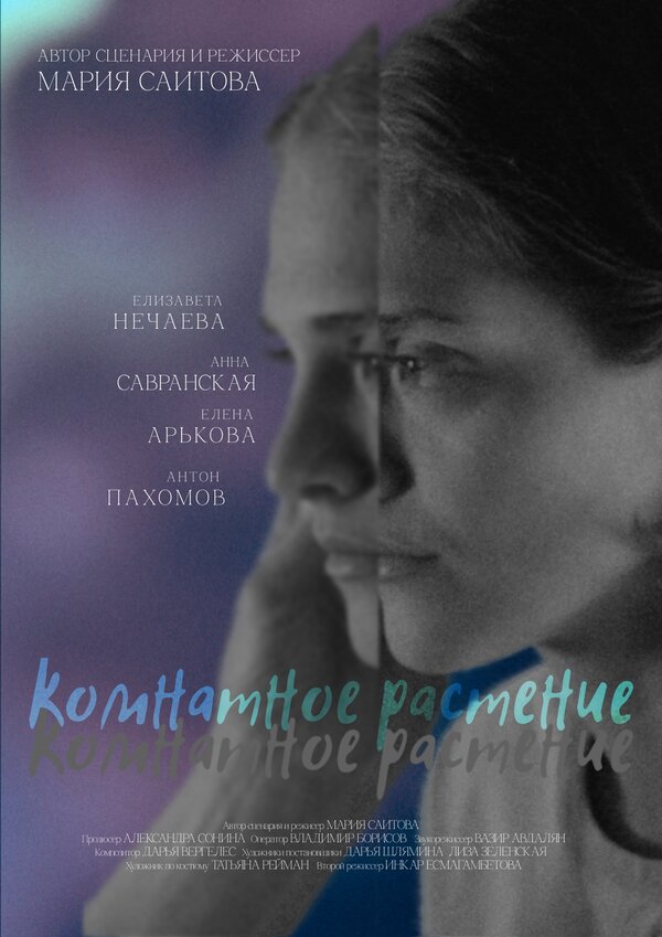 Постер Комнатное растение