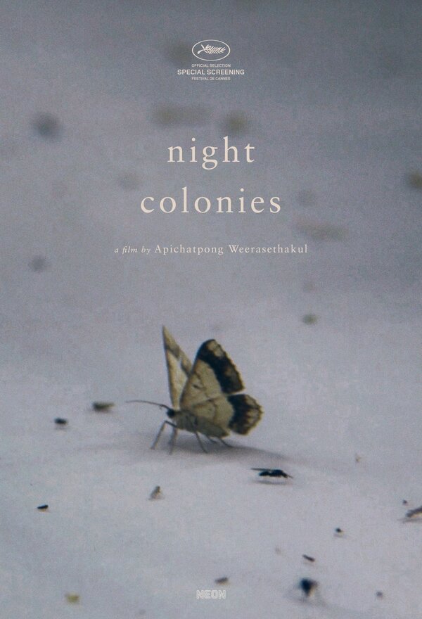 Постер Ночные колонии