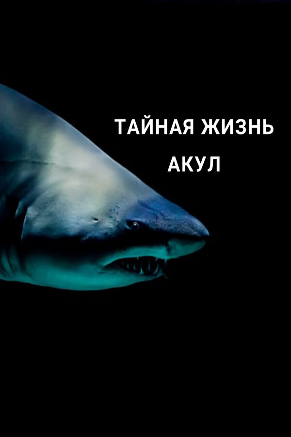 Постер Тайная жизнь акул