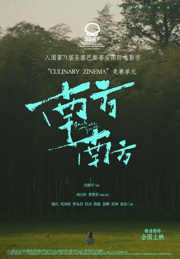 Постер Возвращение на юг