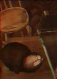 Постер Лень