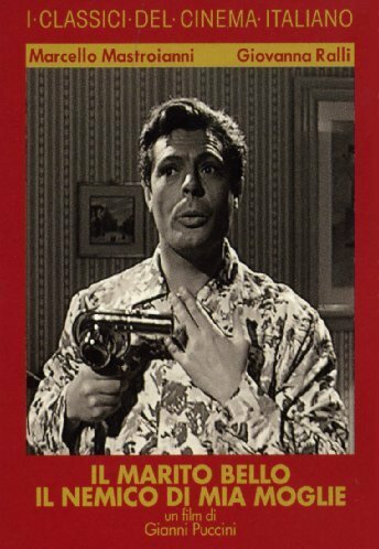 Постер Враг моей жены