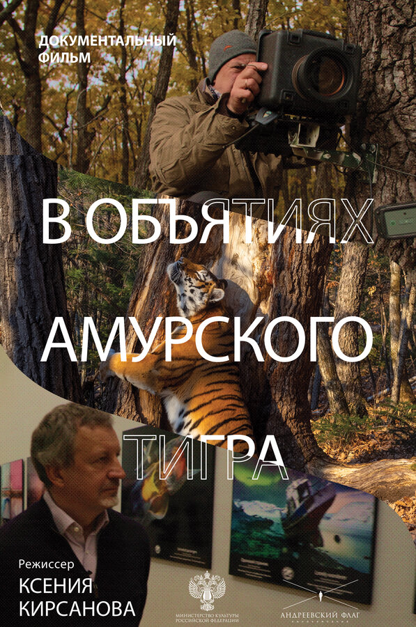 Постер В объятиях амурского тигра