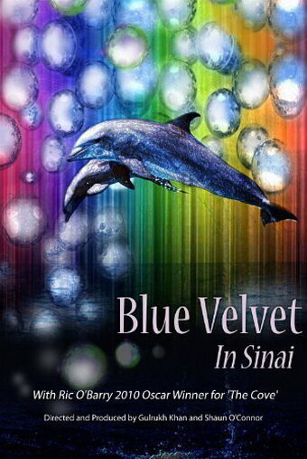 Постер Anthem 2020