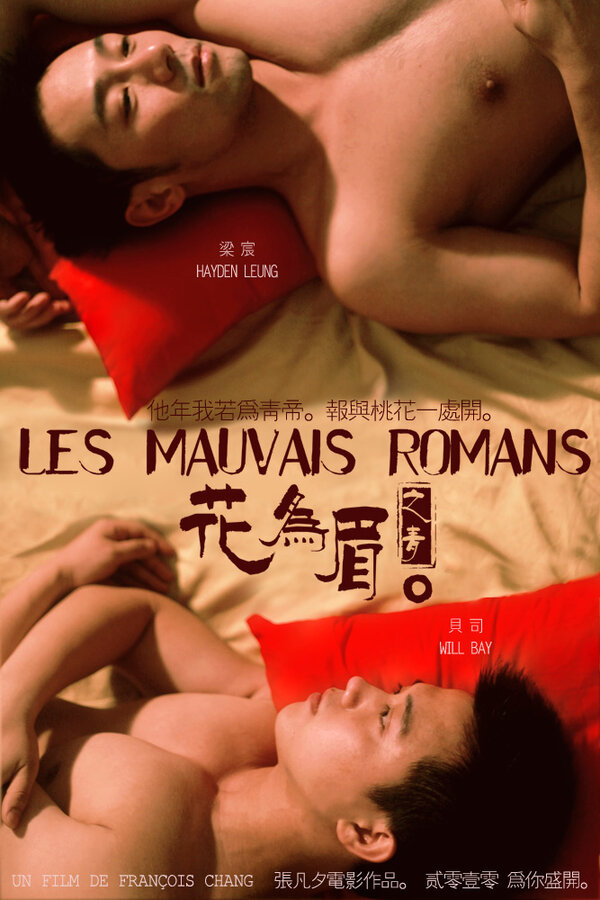 Постер Неважный роман