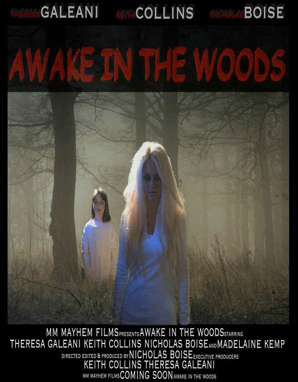 Постер Awake in the Woods