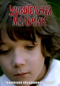 Постер Удивительный мальчик