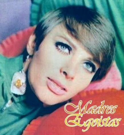 Постер Эгоистичные матери