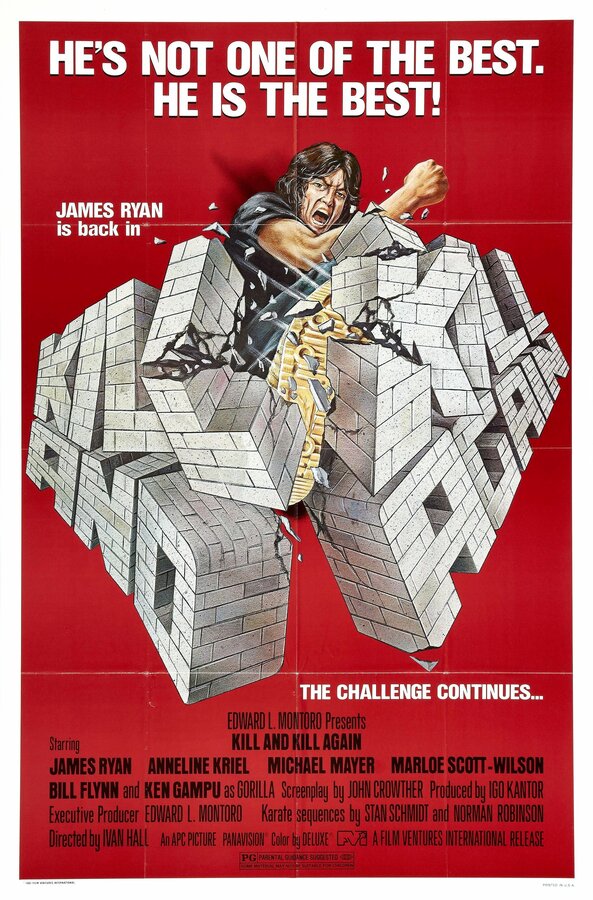 Постер Убить дважды