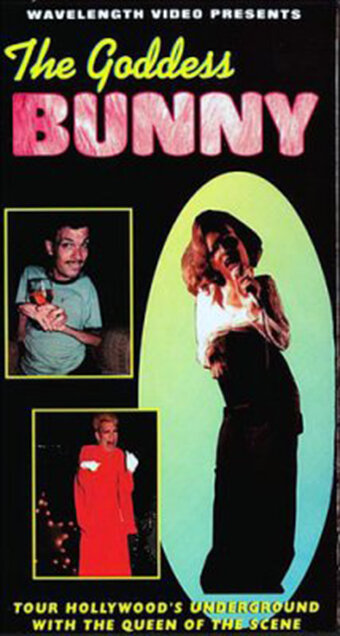 Постер Гаддесс Банни