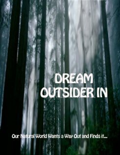 Постер Dream - Outsider In