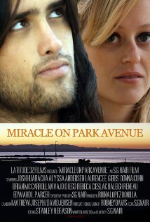 Постер Miracle on Park Avenue