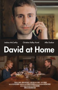 Постер David at Home