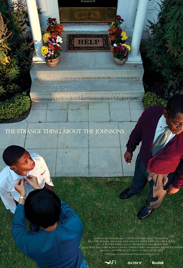 Постер Что-то странное с Джонсонами