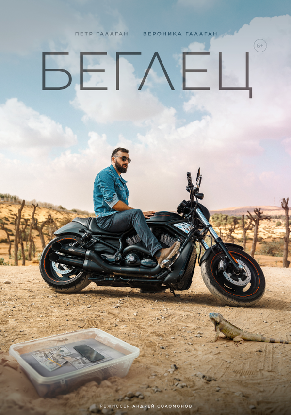 Постер Беглец