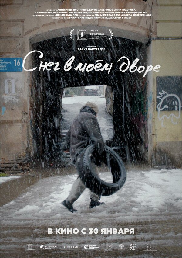 Постер Снег в моём дворе