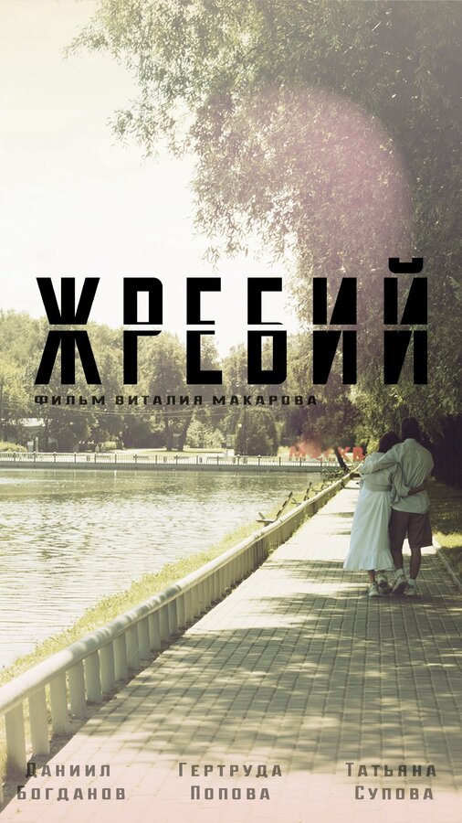 Постер Жребий