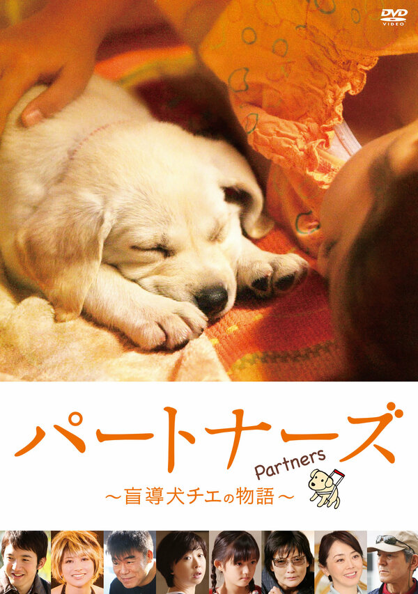 Постер Напарники