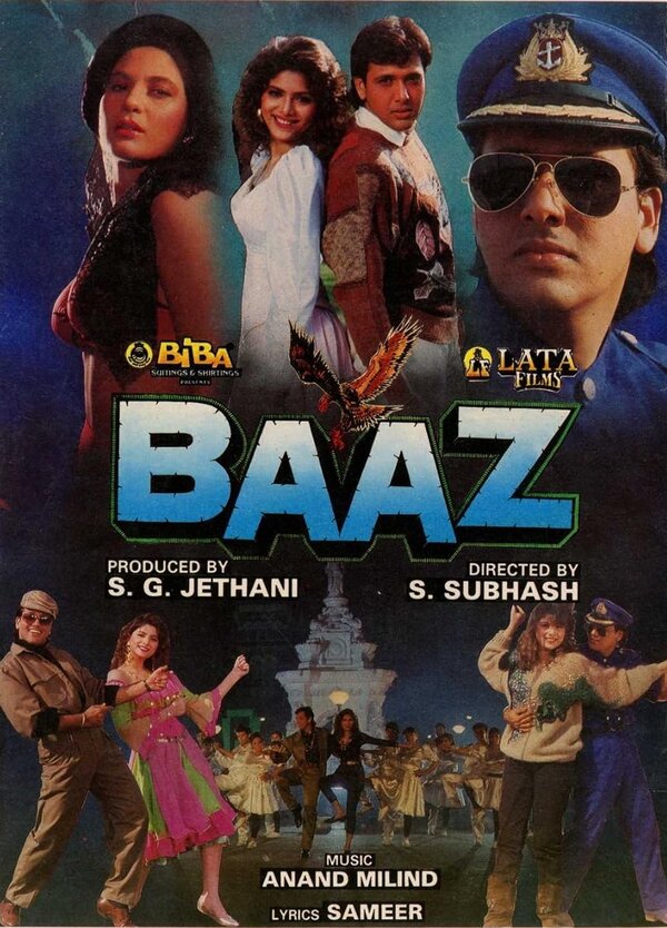 Постер Сокол