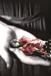 Постер Night Hunter