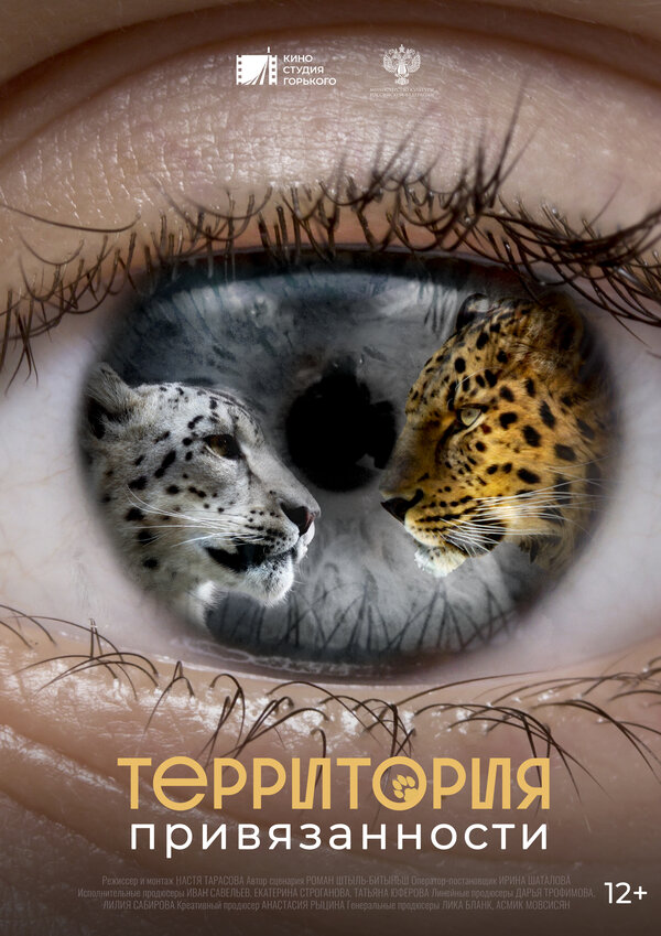 Постер Территория привязанности