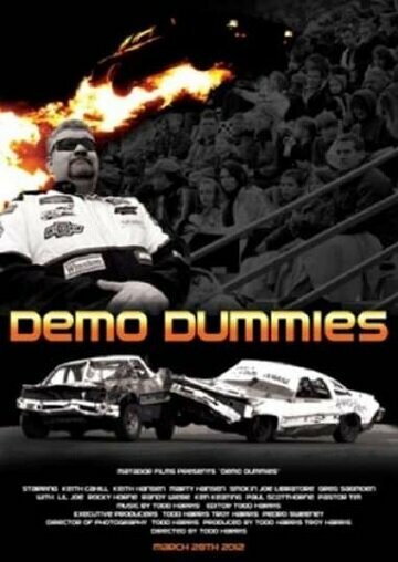 Постер Demo Dummies