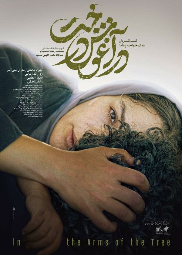 Постер В объятиях дерева