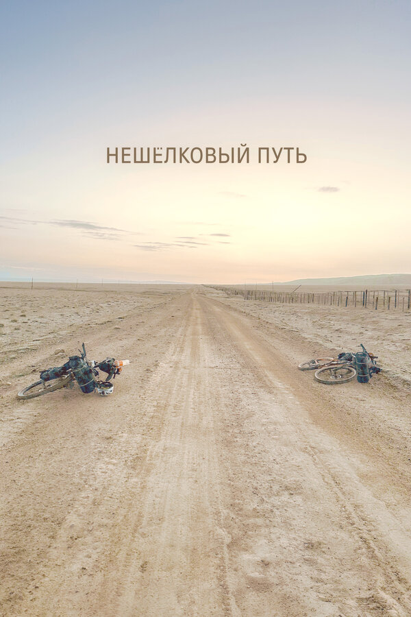 Постер Нешёлковый путь