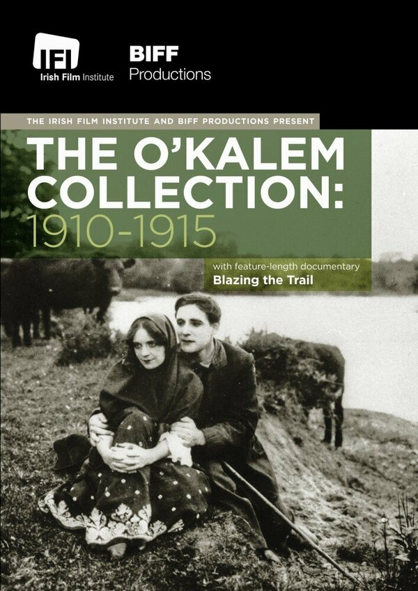 Постер О`Калеми: Пионеры короткого метра