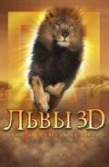 Постер Львы 3D