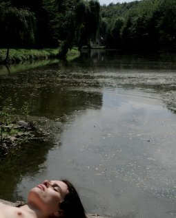 Постер Flytopia