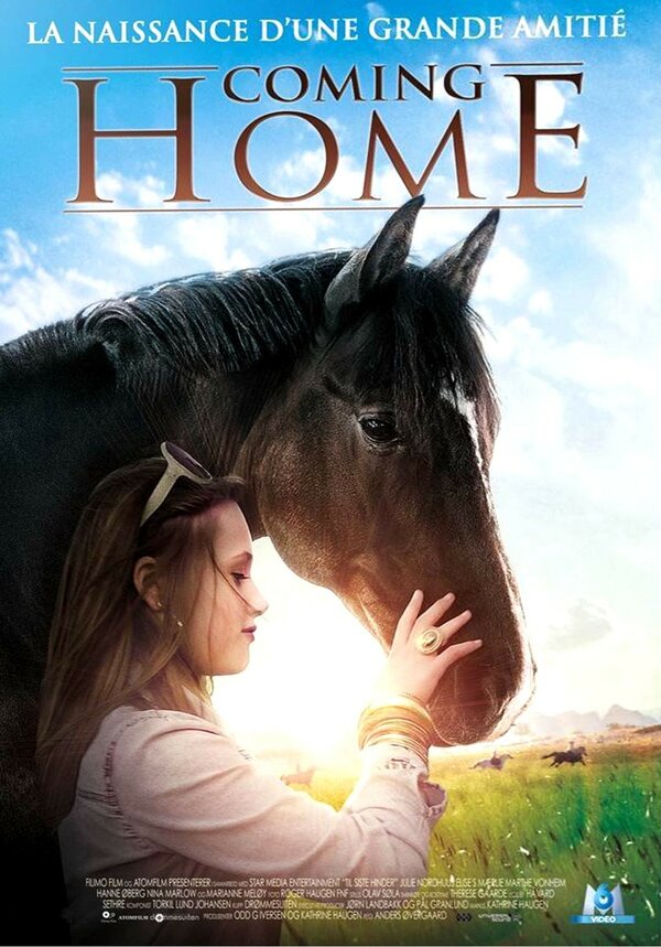 Постер Til siste hinder