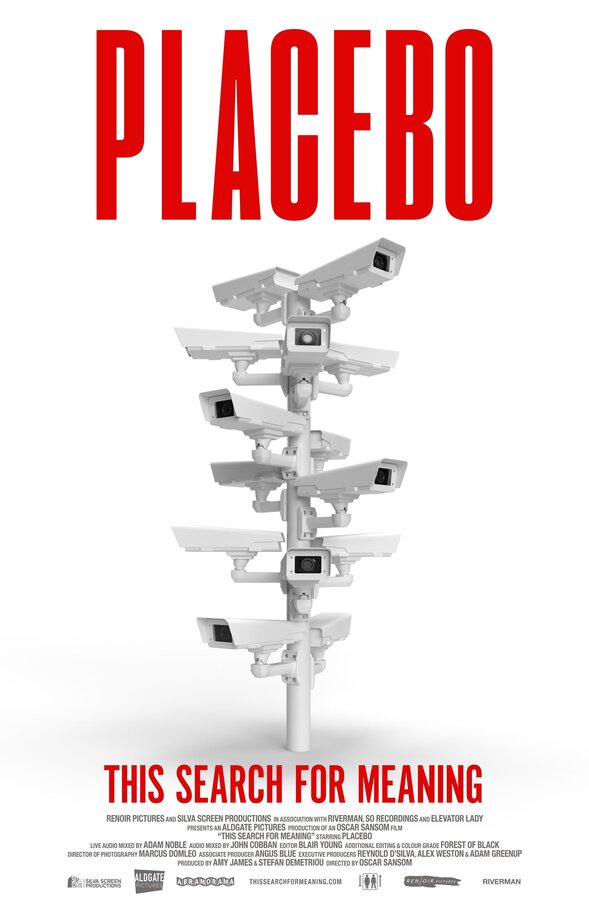 Постер This Search for Meaning