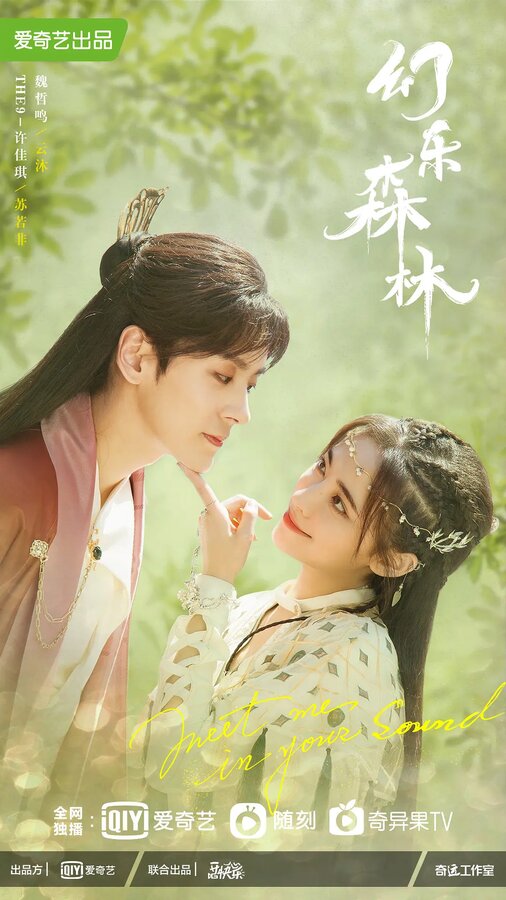 Постер Эхо её голоса