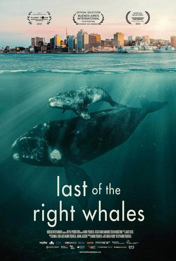 Постер Last of the Right Whales