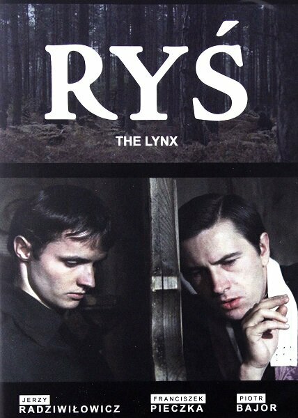 Постер Рысь