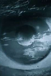 Постер Последний