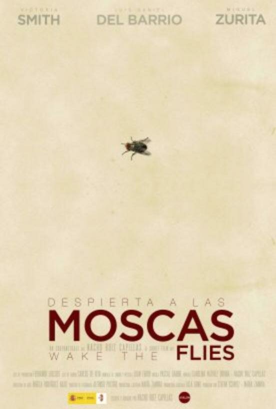 Постер Проснувшаяся муха