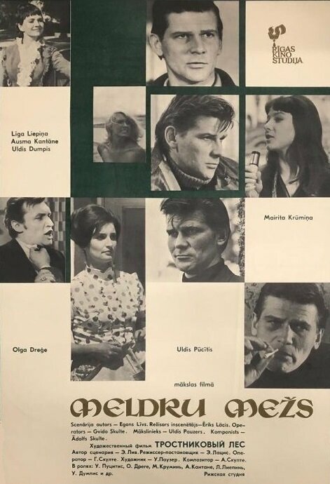 Постер Тростниковый лес