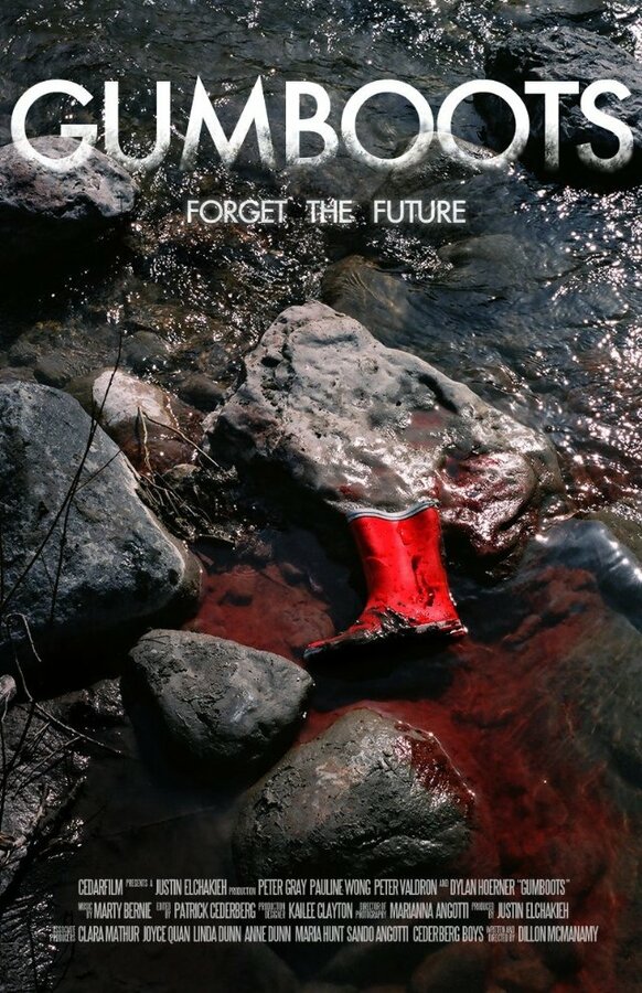 Постер Gumboots