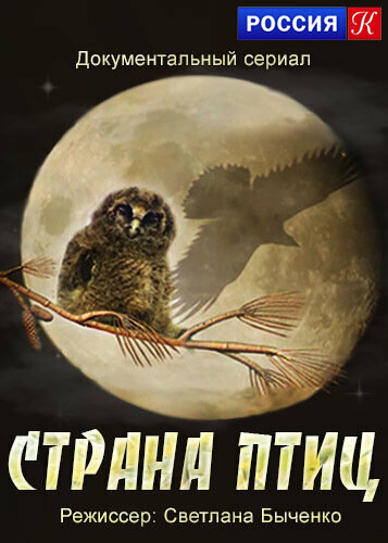 Постер Страна птиц