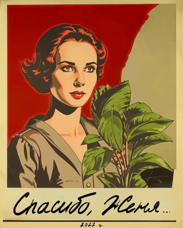 Постер Спасибо, Женя