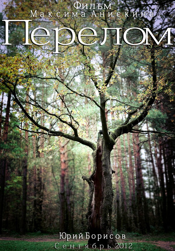 Постер Перелом