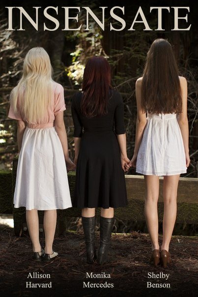 Постер Insensate