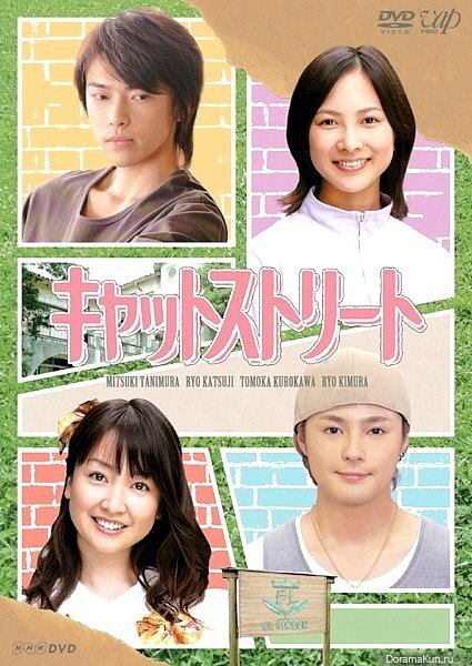 Постер Бродячие коты