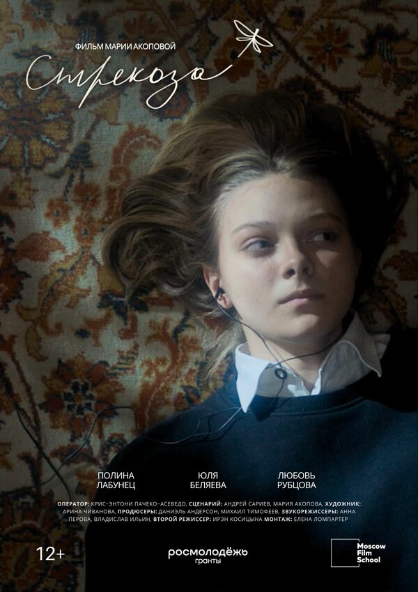 Постер Стрекоза