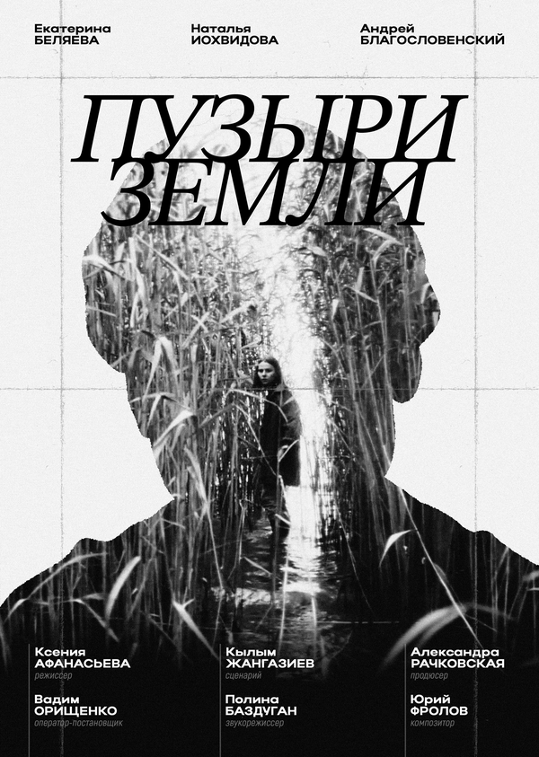 Постер Пузыри земли