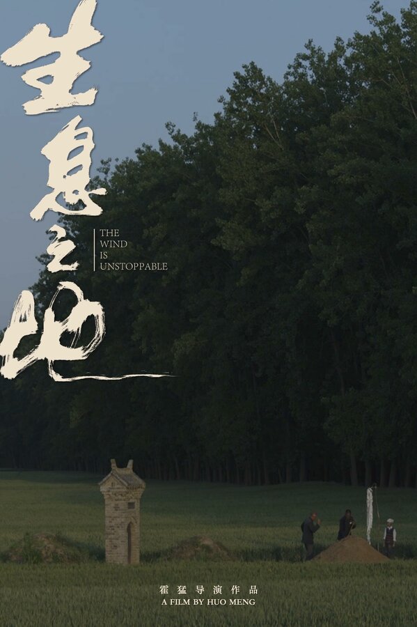 Постер Жить на земле